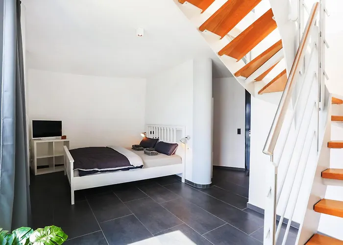 Adac Segel Traumblick Auf Den